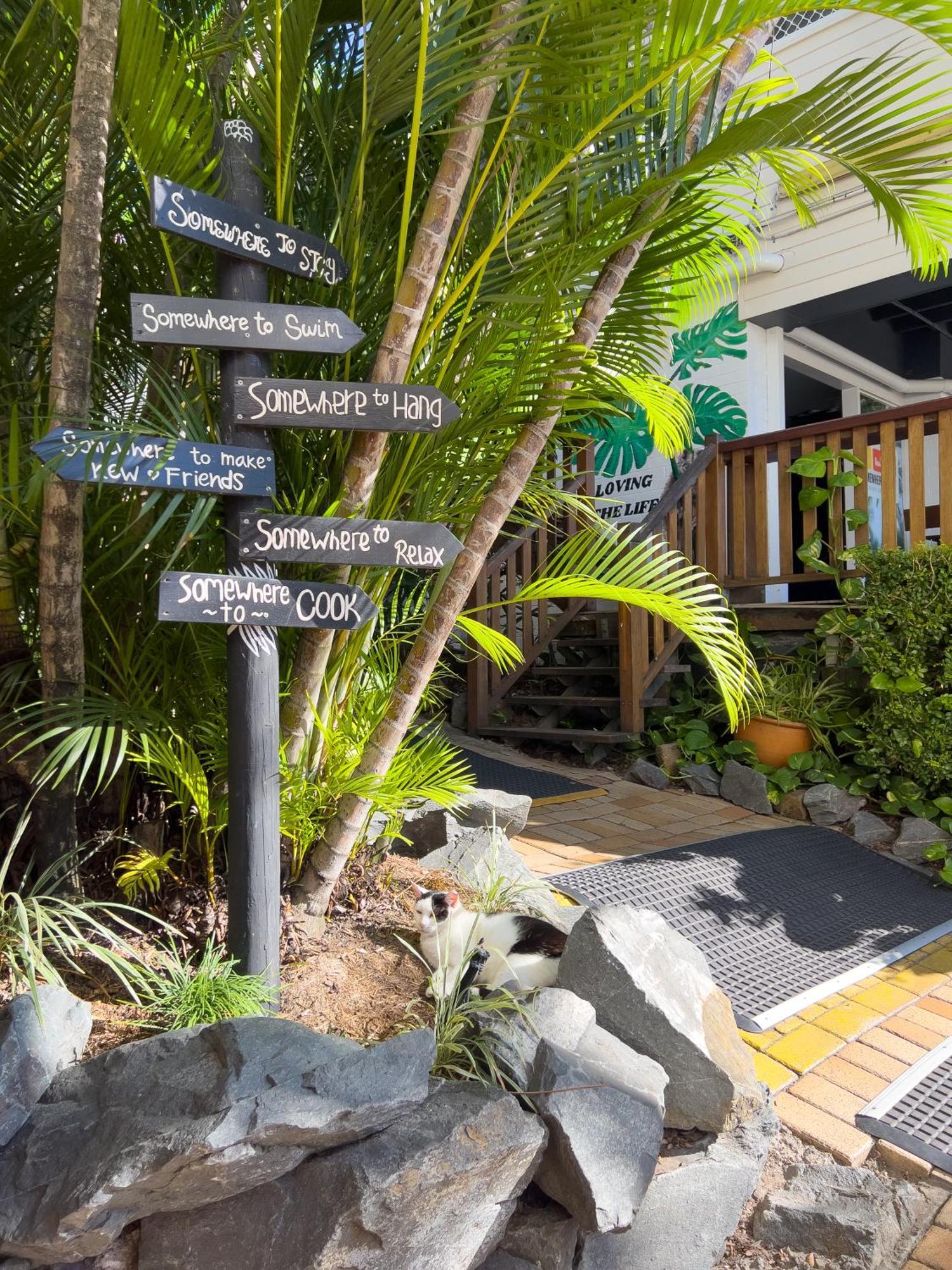 Somewhere To Stay Backpackers بريزبين المظهر الخارجي الصورة